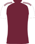 Aston Villa Club