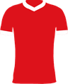Bristol City FC Club