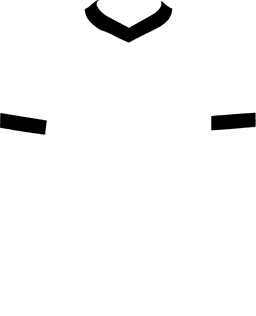 Swansea City AFC